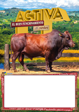 Almanaque Carnes Papel 1/8 